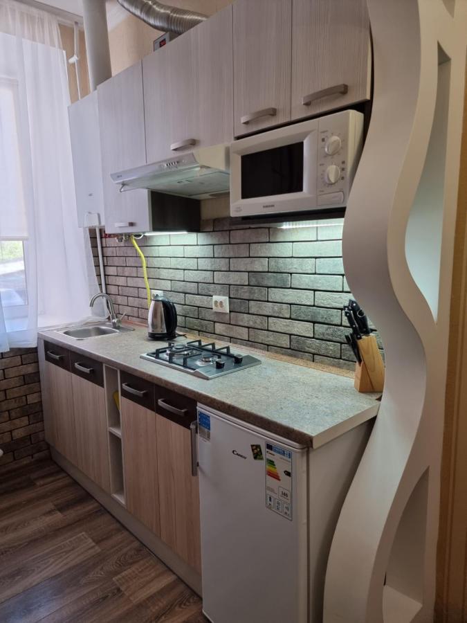 Petropavlivska Apartment Тиха Вуличка В Центрі Старого Міста Kamianets-Podilskyi Εξωτερικό φωτογραφία