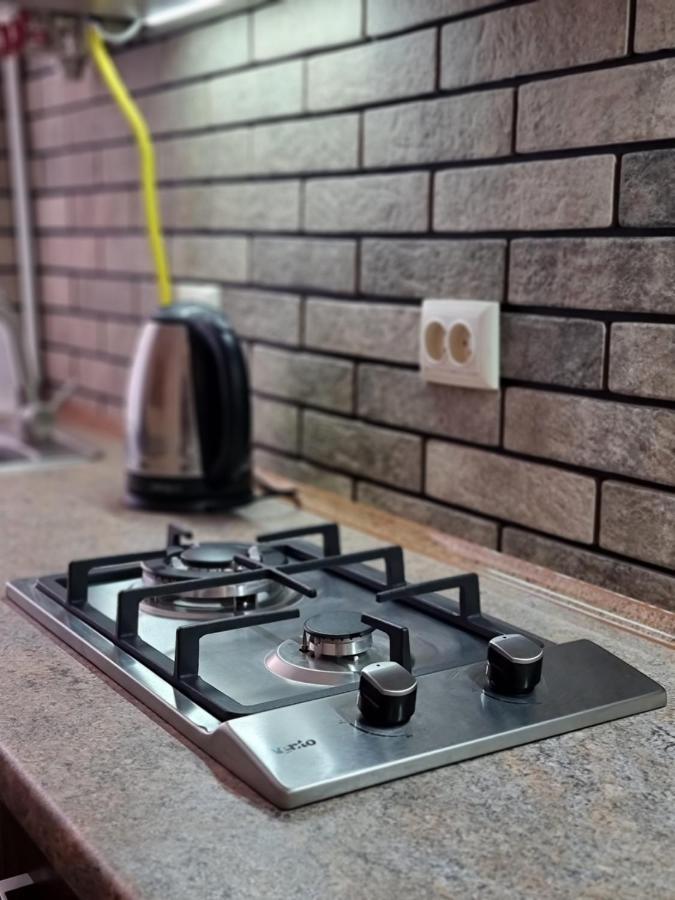 Petropavlivska Apartment Тиха Вуличка В Центрі Старого Міста Kamianets-Podilskyi Εξωτερικό φωτογραφία