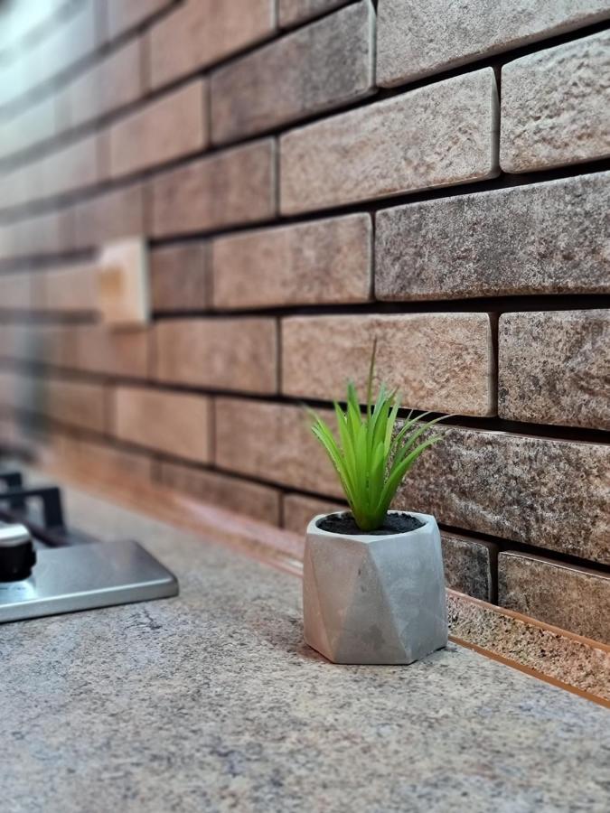 Petropavlivska Apartment Тиха Вуличка В Центрі Старого Міста Kamianets-Podilskyi Εξωτερικό φωτογραφία